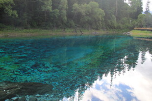 清澈蓝绿湖水与周边树林