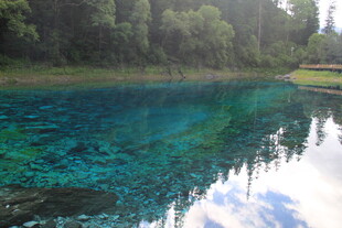 清澈蓝绿色湖水与森林美景