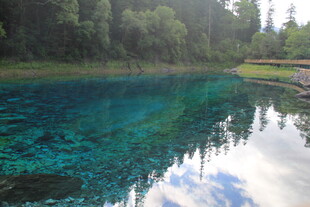 清澈蓝湖与岸边葱郁树林