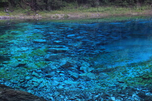 清澈蓝湖展现水底美景