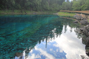 清澈蓝湖映山林美景