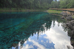 清澈蓝湖与岸边森林美景