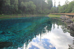 清澈蓝湖映山林美景