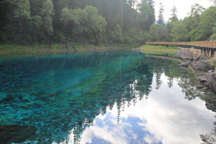 清澈蓝湖与岸边葱郁树林