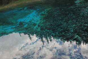 梦幻湖景倒映葱郁树林