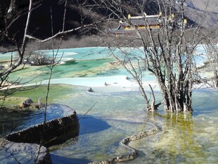 冬日多彩湖泊枯树景观