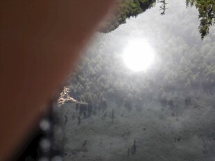 透过缝隙看户外自然景象