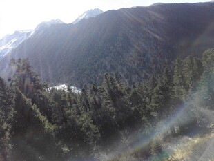 山林间的阳光与茂密树林