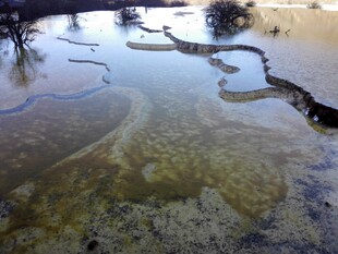 湿地蜿蜒水道景观