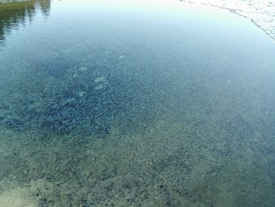 清澈见底的平静水面
