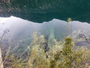 水下植物景观 静谧之美