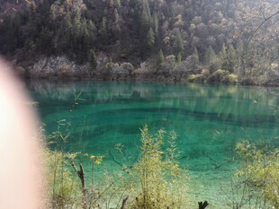 梦幻般的翠绿湖水景观
