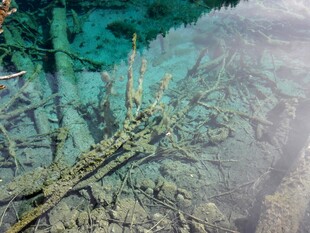 水下沉船遗迹景观