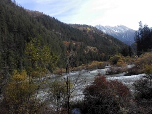 山间溪流旁的多彩景致