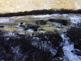 山间雪覆草地与溪流