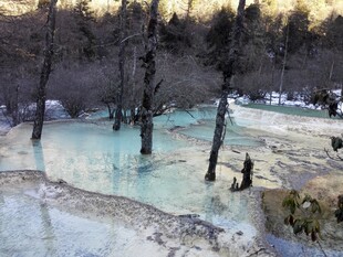 梦幻蓝绿色枯树温泉景观