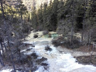 山间溪流穿林而过