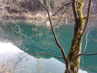 山间碧湖 静谧自然之景