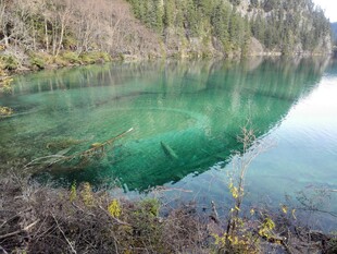清澈碧绿的山间湖泊