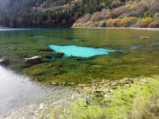 清澈湖景与岸边葱郁植被
