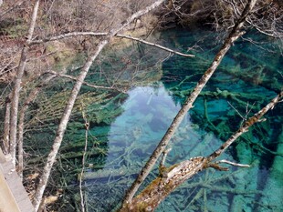 清澈幽蓝的山间水潭