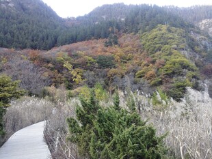 山间秋色小径美景