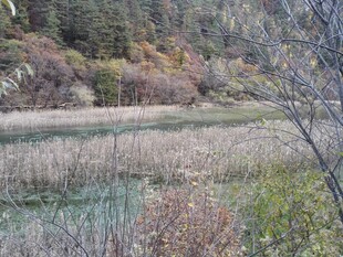 秋日山间湿地景色
