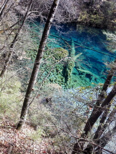 山林间的幽蓝澄澈潭水