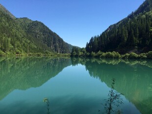 碧绿湖水映山林美景