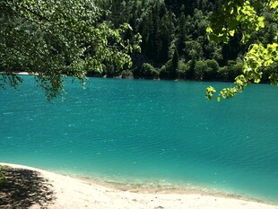 蓝绿色湖水边的葱郁景致