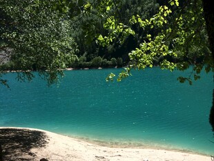 清澈蓝湖旁的葱郁树林