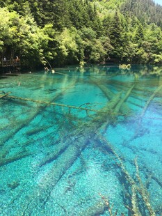 清澈幽蓝的森林湖泊美景