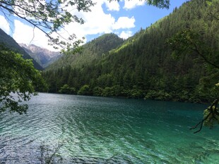 翠绿山林间的澄澈湖水