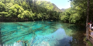 清澈碧绿的山间河流美景