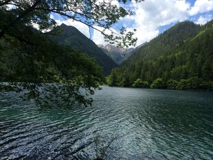 山间幽湖 碧波映翠林