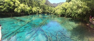 清澈碧绿的山间幽美河流