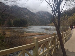 湖畔木栏旁的秀丽山水景