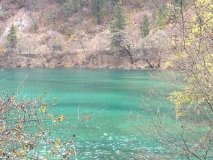 碧绿湖水与岸边景致