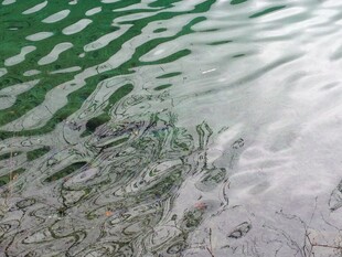 波光粼粼的水面纹理