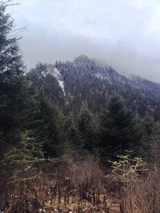 山林云雾中的巍峨山峰