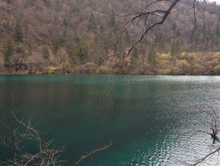 宁静幽美的翠色湖泊