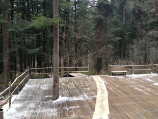 冬日林间木栈道雪景