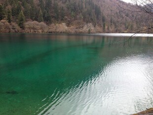 碧绿湖水与山林美景