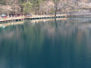 宁静湖水旁的春日景致