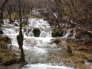 山间溪流潺潺之美景