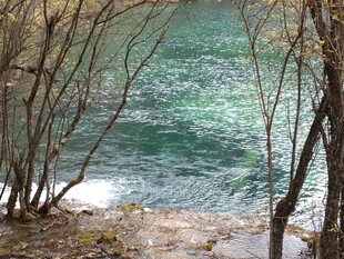 林间湖畔 碧波荡漾之景