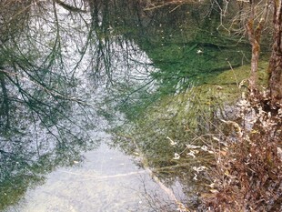 山间溪流 冬日静谧之景