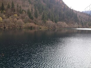 宁静山林间的静谧湖水