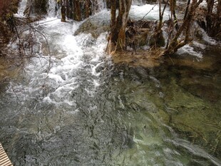 山间清澈溪流潺潺流淌