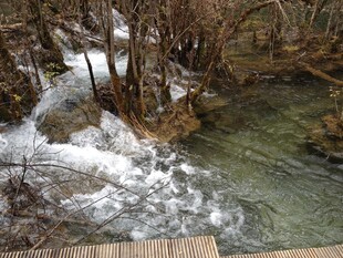 山间溪流旁的木质栈道景观